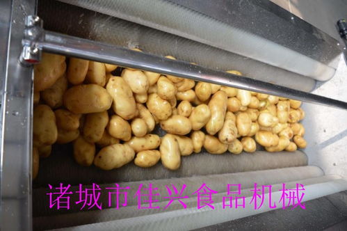 北票龍眼清洗線(xiàn)廠(chǎng)家批發(fā) 提升農(nóng)產(chǎn)品品質(zhì)，咨詢(xún)我們獲取專(zhuān)業(yè)解決方案